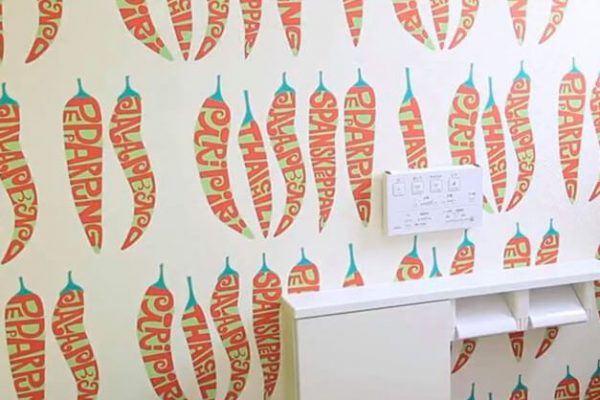 北秋田市,新築,サニタリー,トイレ,壁紙,クロス,阿仁