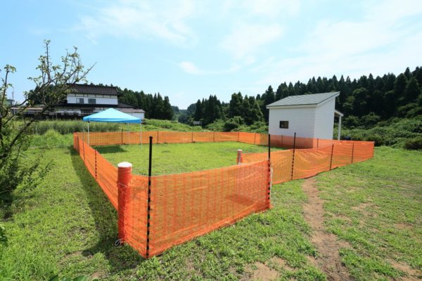 新築,店舗,男鹿市,ドッグラン